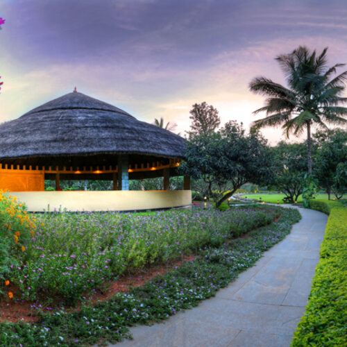 Morning Rituals Based on Ayurveda